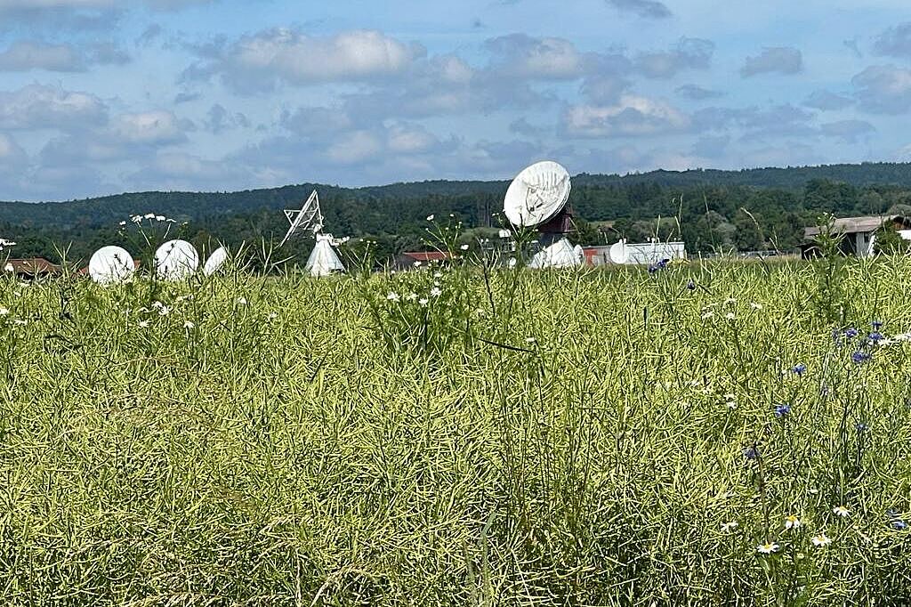 Storchenrunde_2021