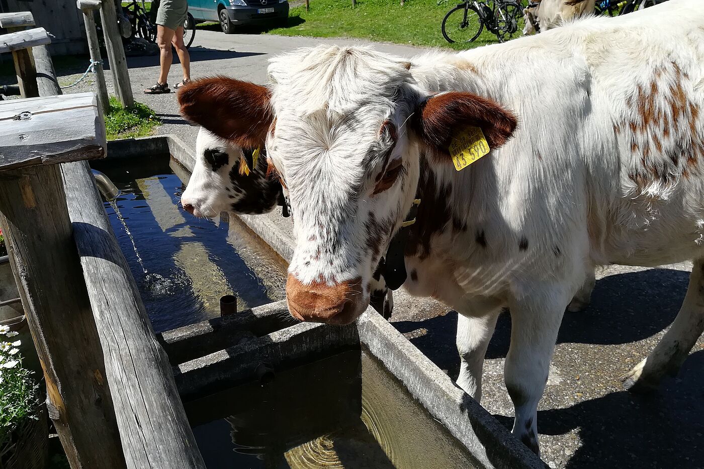 Bike&Hike-Tour zur Heini Klopfer Skiflugschanze